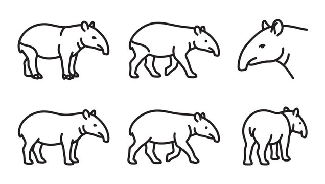 Collection of tapir animal graphics in line art style with wildlife creature rainforest illustration monochrome isolated background collection standing tropical endangered herbivore