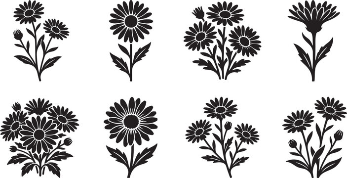 Chrysanthemum and daisy garden flower bush silhouettes