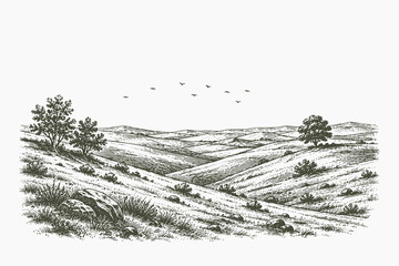 Fototapeta premium Vintage engraved rolling hills vector illustration with open countryside landscape in detailed hand drawn etching style for scenic and editorial projects