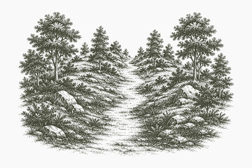 Vintage engraved woodland trail vector illustration featuring natural forest scenery and rocky pathway in detailed hand drawn etching style for outdoor themes © Chairul