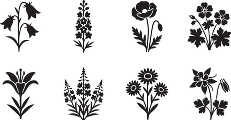 Bellflowers foxglove poppy aquilegia meadow stems silhouette collection © HM