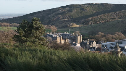 Holyroodhouse Palace Framed by Wild Grass with Arthurs Seat Edinburgh © aungsp