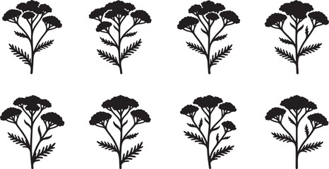Flat topped wild yarrow stalks and dense meadow herb stencils © HM