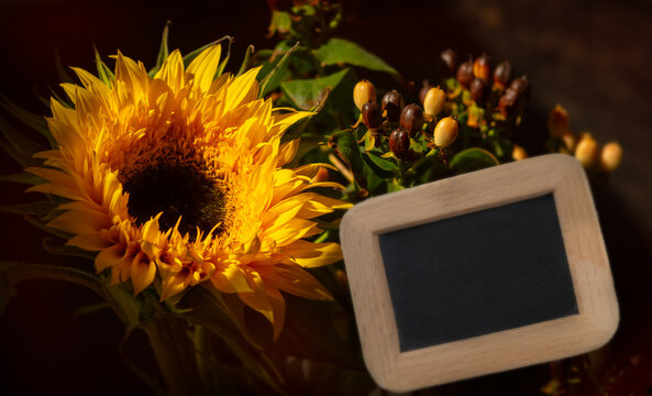 Sonnenblume gelb mit Tafel zum Beschreiben