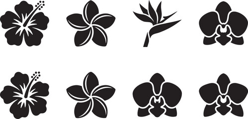 Tropical hibiscus and exotic orchid flower silhouette collection for summer themes © HM