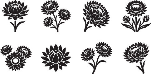 Chrysanthemum and aster flower silhouette collection for autumn themes © HM