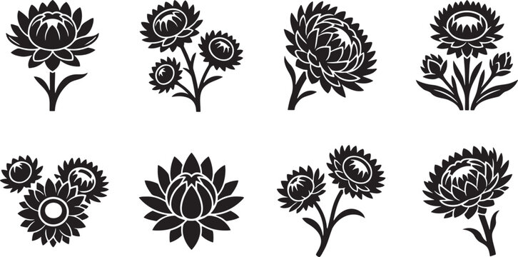 Chrysanthemum and aster flower silhouette collection for autumn themes