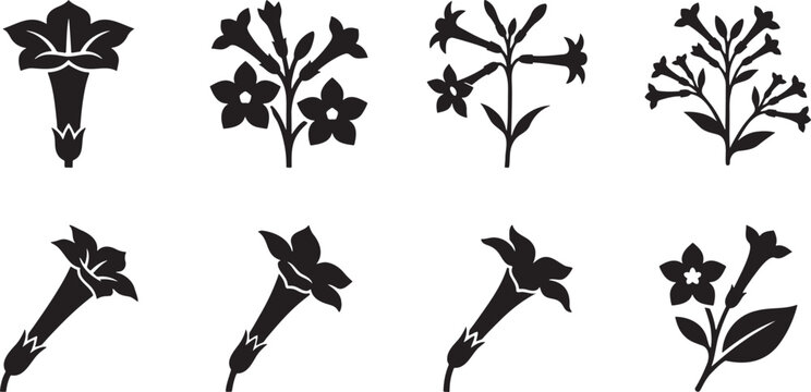 Trumpet flower and petunia silhouette collection for climbing vine graphics