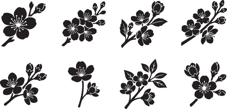 Japanese cherry blossom branch silhouette collection for spring backgrounds