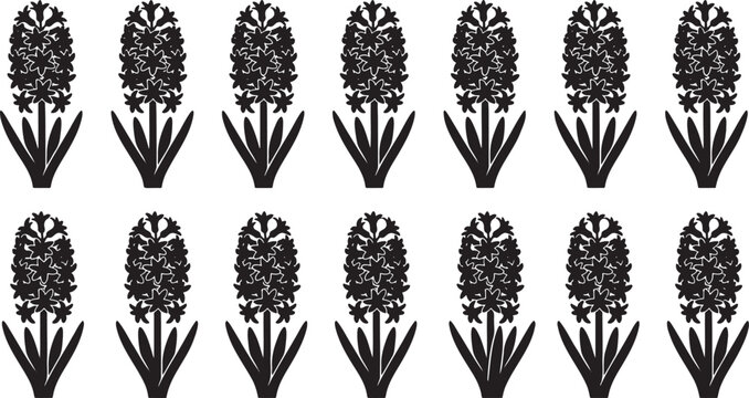 Hyacinth flower spike silhouettes for spring flower bed landscaping