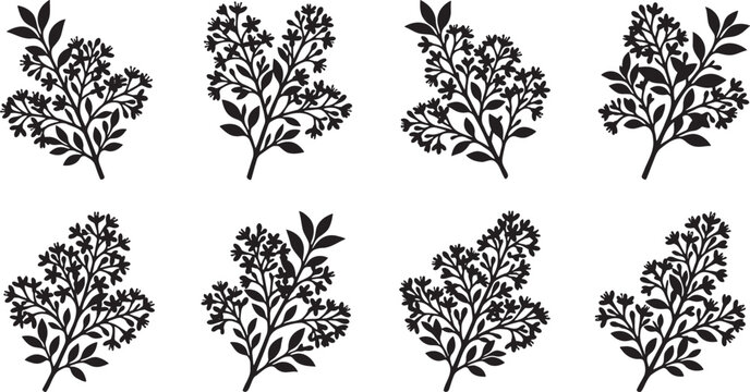 Dense leafy shrubs and culinary herb bushes silhouette collection