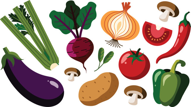 Vegetable ingredients vector illustration collection featuring eggplant celery beetroot onion potato tomato pepper and mushrooms for healthy cooking recipe designs
