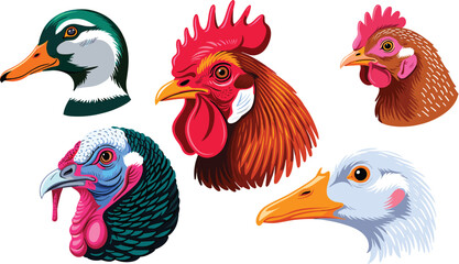 Farm birds heads vector illustration collection featuring detailed stylized portraits of rooster hen turkey duck and goose for livestock farming graphics © IVY QUEEN