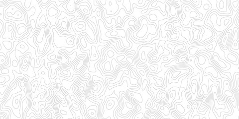 White and gray abstract topographic map background with seamless contour lines, geographic mountain relief and modern paper texture design © Noor Al Barakah