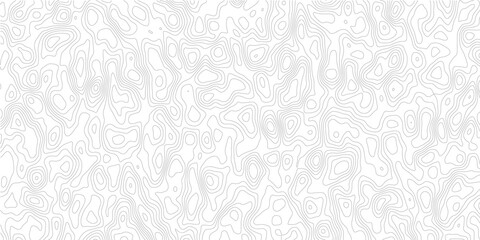 White and black topographic contour map background with organic geographic lines, minimal relief pattern and elegant paper texture design © Noor Al Barakah