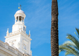 Obraz premium Palm tree beside Cadiz cathedral tower