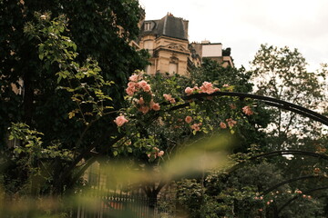 Naklejka premium Paris, France