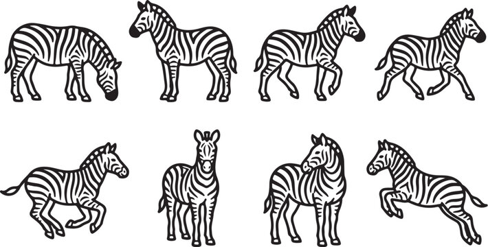 Zebras in various standing and running poses