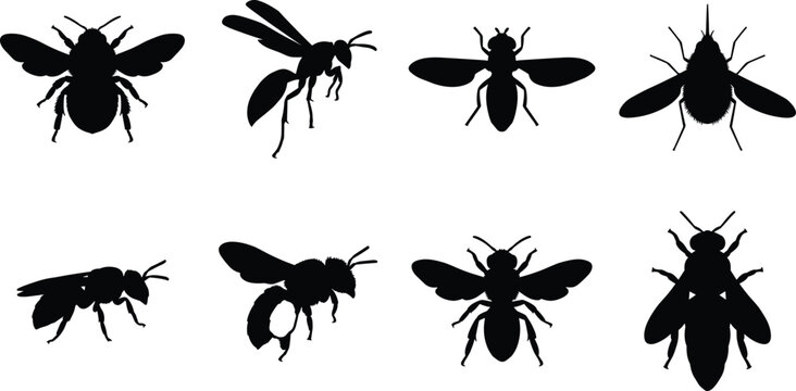 Bee Wasp and Flying Insect Silhouette Vectors Set Isolated on White Background