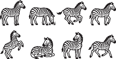 Eight zebras in different playful poses © tarik