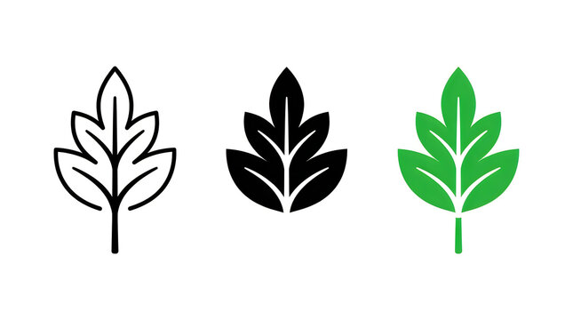Set of three simple green leaf icons in outline solid and colorful styles for nature design
