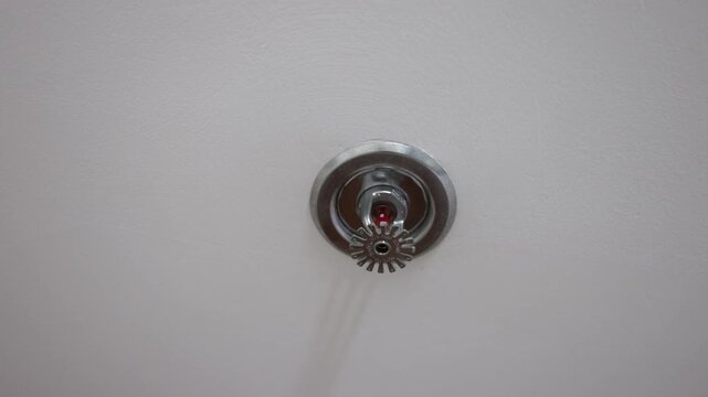 Automatic fire sprinkler head on a ceiling activating during an emergency