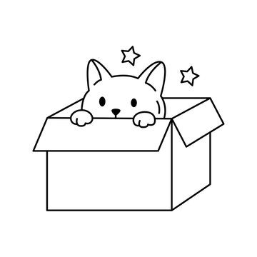 Cute Cat in Box Line Icon Illustration