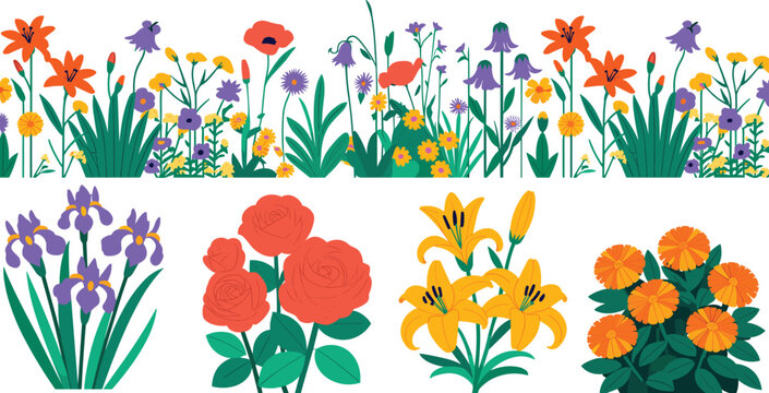 Colorful spring wildflower meadow border vector set with blooming rose iris lily and mari
