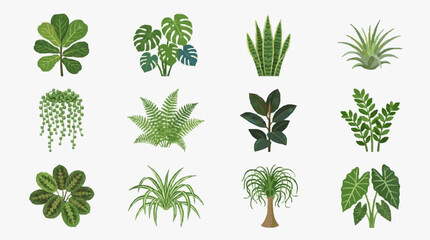 Industrial of Twelve Distinct Green Houseplants with Vibrant Shades and Unique Leaf Structures with high quality professional line art symbols for modern creative design and digital branding projects © Pian