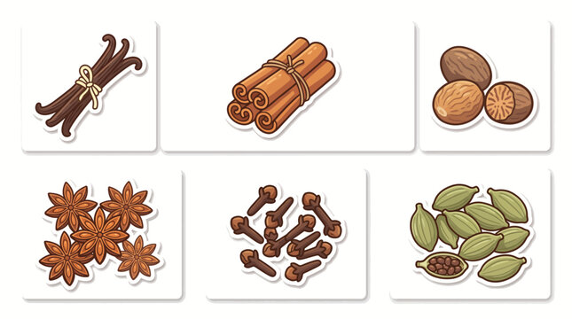 Spices Sticker Set with Cinnamon Vanilla Nutmeg Star Anise Cloves and Cardamom
