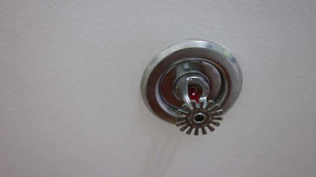 Close up of an automatic fire sprinkler head installed on a white office ceiling for safety and protection. A crucial component of a building's active fire suppression and prevention system