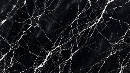 Dramatic black and white marble texture with striking veins for elegant backgrounds © Razia