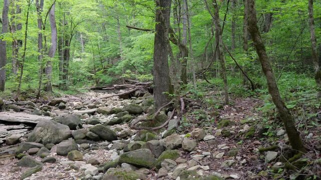 Rugged, dry rocky Arkansas creek bed surrounded by dense green forest foliage and towering limestone bluff walls along a wilderness hiking trail
