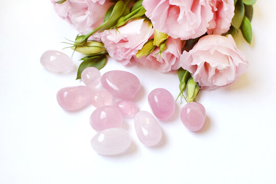 Rose quartz crystals and pink eustoma flowers. Minerals for women. Genuine semi-precious stones. Healing crystals.