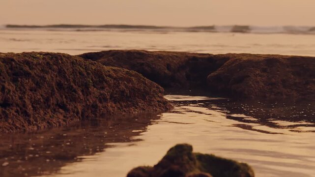 Gentle sea waves washing over moss-covered stones on the shoreline. The warm orange light of the setting sun reflects on the water surface, creating a peaceful tropical atmosphere.