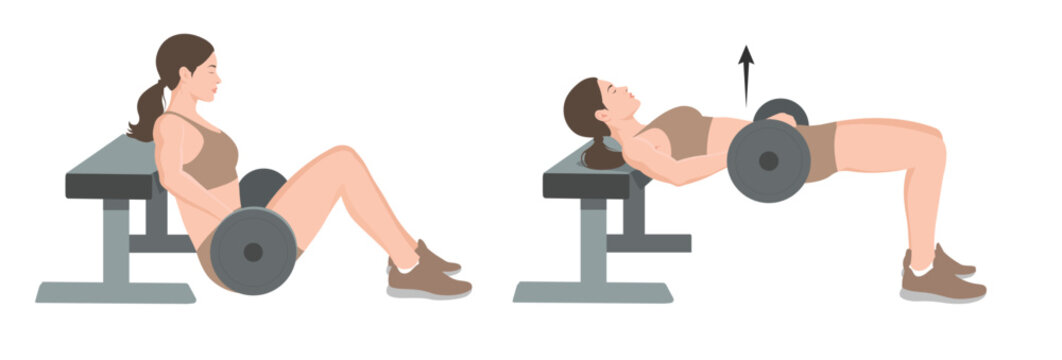 Barbell Hip Thrust Exercise Illustration &ndash; Female Glute Bridge Workout Step-by-Step Fitness Guide