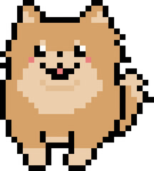 Fototapeta premium Happy Brown Pomeranian Dot