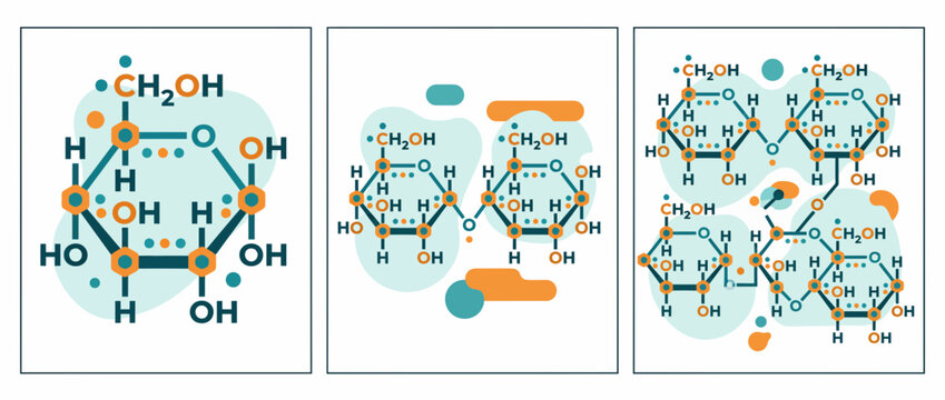 Glucose Molecule Chemical Structure Educational Infographic Elements