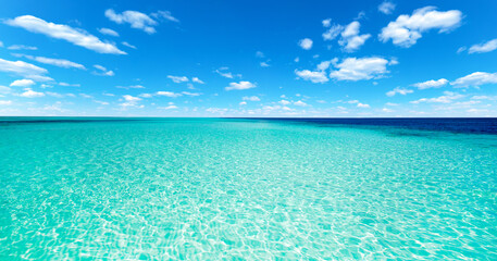 Sea landscape. Beach and tropical sea. Blue Sky background with tiny Clouds. Panorama background © Pakhnyushchyy