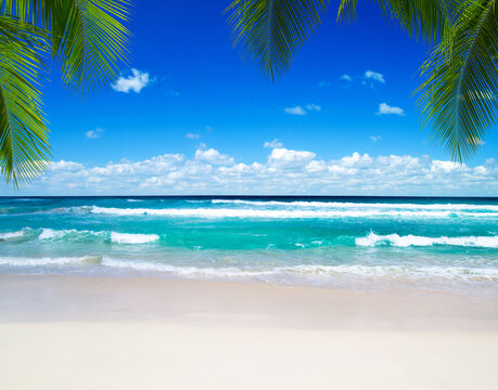 sea landscape.  beautiful beach and tropical sea