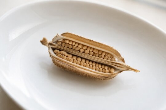 A dried sesame pod split open on a white plate, revealing tiny seeds.