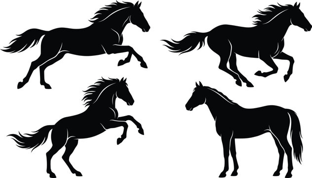 Running horse silhouettes set, wild stallions galloping and rearing up, vector illustration