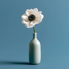 White anemone flower in ceramic bud vase on dusty blue © Tharshan