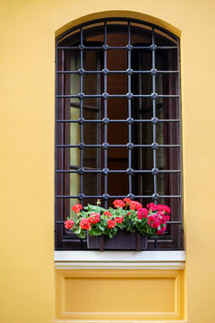 Window with Flower Box on Yellow Wall