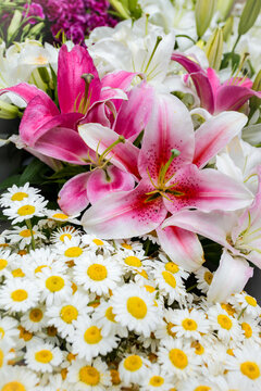 Pink Stargazer Lilies and Daisies