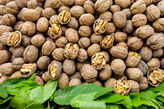 Walnuts Close Up