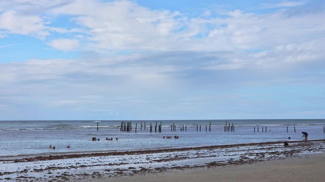 Low Tide Natural Pool with Old Wooden Pier Posts, Brazil Coast