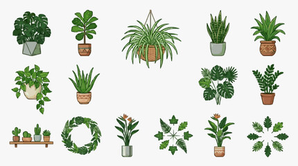 Minimalist Collection of 15 Stylish Indoor Plants in Colorful Pots and Arrangements for Home Decoration © Box