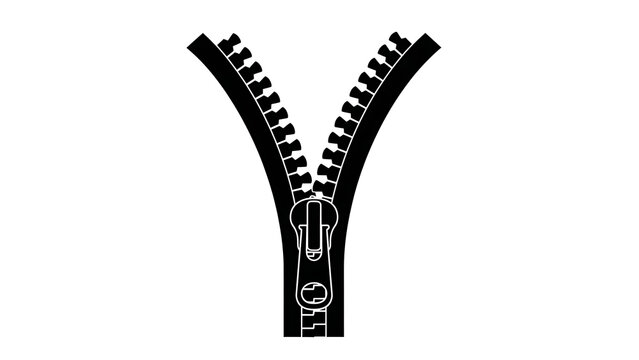 Black zipper closed up in detail