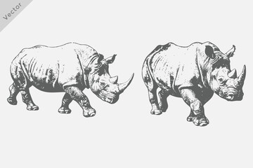 Rhinoceros in Vintage Woodcut Illustration. Vintage engraving style Rhinoceros vector. Hand-drawn sketch animal for creative design. © SAGOR